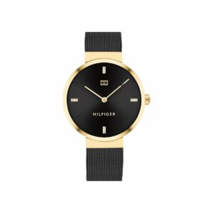 Tommy hilfiger women watch